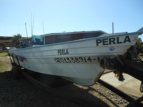 Baja Fishing Rentals